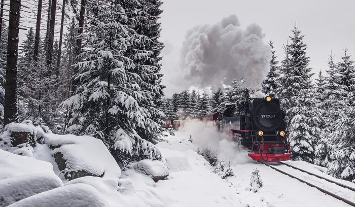 Steam train in a snowy forest