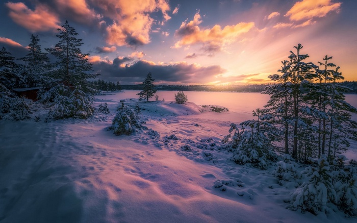 Winter sunset over a snow-covered landscape with trees
