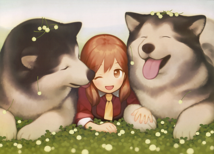 Girl with two Siberian Huskies in a field of flowers