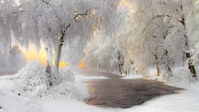 Frozen river landscape in Finland with snow-covered trees