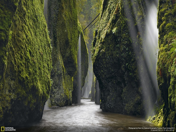 Mossy canyon with waterfalls and river in Oregon