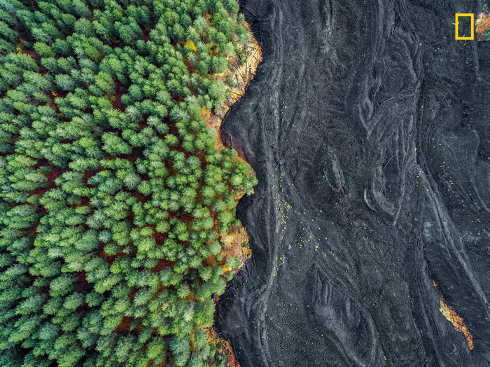 Aerial view of forest meeting volcanic landscape in Sicily