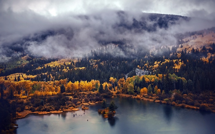 Autumn forest landscape with lake and clouds