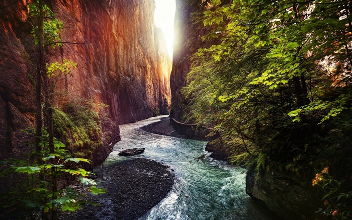 River flowing through a narrow canyon with trees