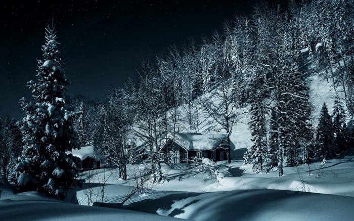Snowy forest with huts at night