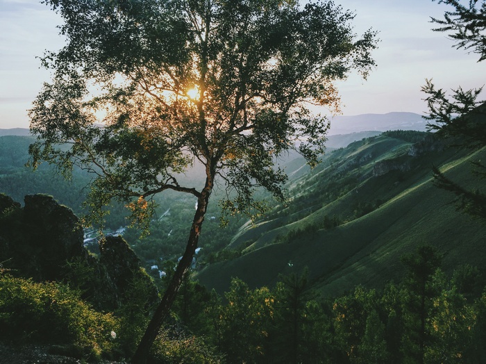 Sunset over mountains with tree in foreground, Russia