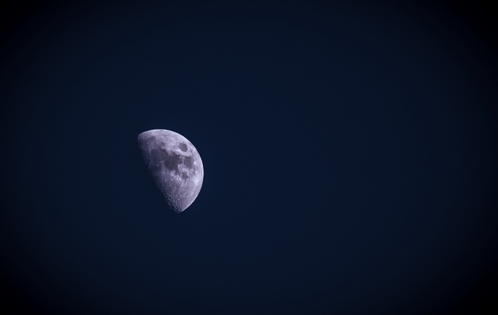 Half moon in the night sky