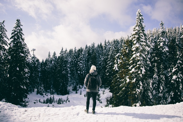 Person in a snowy forest with pine trees