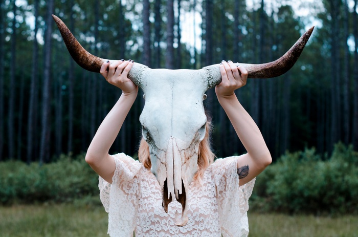 Woman holding a bull skull in a forest