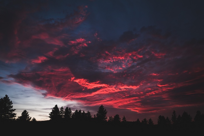 Sunset sky over silhouetted trees