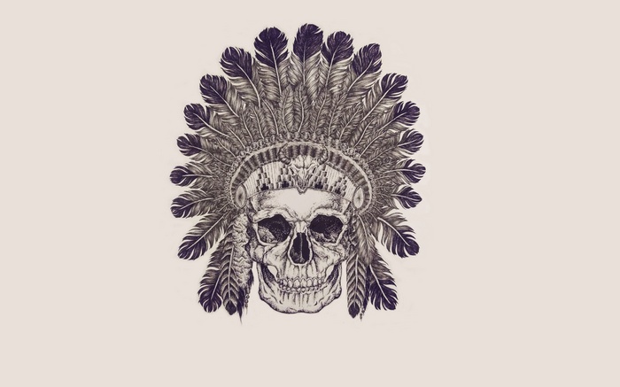 Skull with Native American Headdress