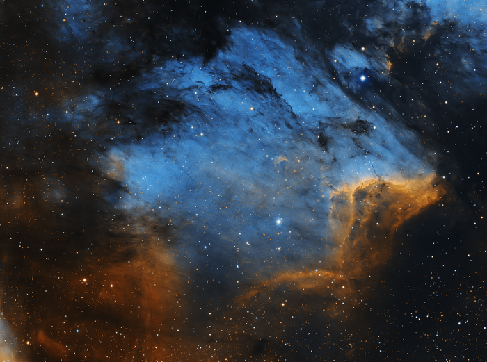 Pelican Nebula in Cygnus Constellation