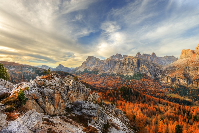 Autumn forest in the Dolomites mountains under a cloudy sky