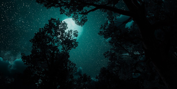 The Witcher 3: Wild Hunt night sky with moon and stars