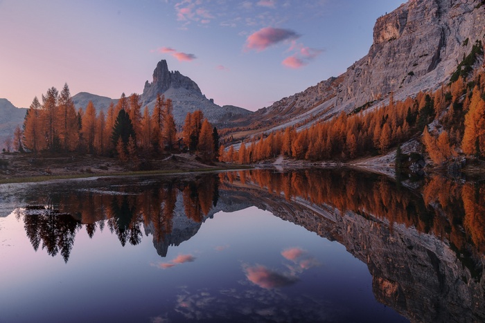 Autumn trees reflected in a mountain lake at sunrise