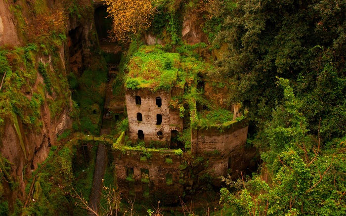 Abandoned stone building overgrown with greenery in a valley