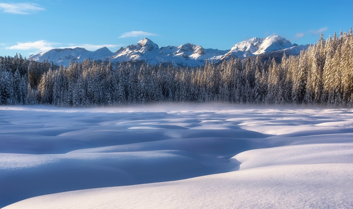 Snowy forest and mountains under a blue sky