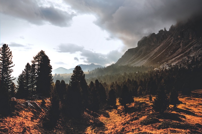 Mountain landscape with pine trees and dramatic clouds