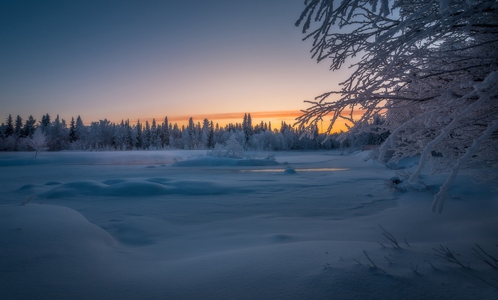 Winter landscape with snow-covered trees at sunset