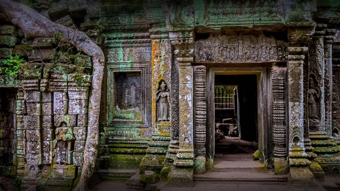 Ancient temple ruins with tree roots and carvings