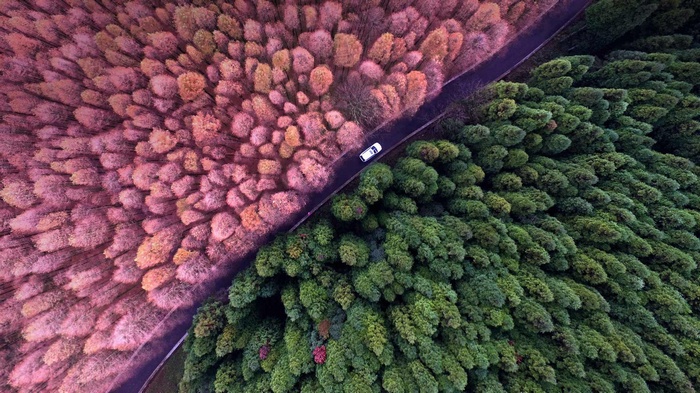 colorful, landscape, aerial view