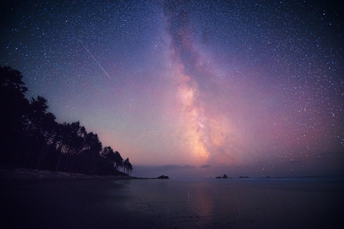 Milky Way over a beach and forest at night