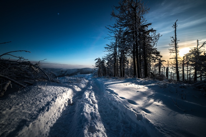 Snowy mountain path with trees and moon
