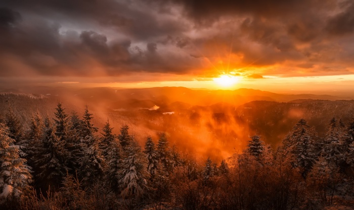 Sunset over a misty, snow-covered forest landscape