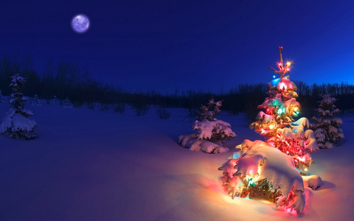 Christmas tree with lights in snowy landscape at night