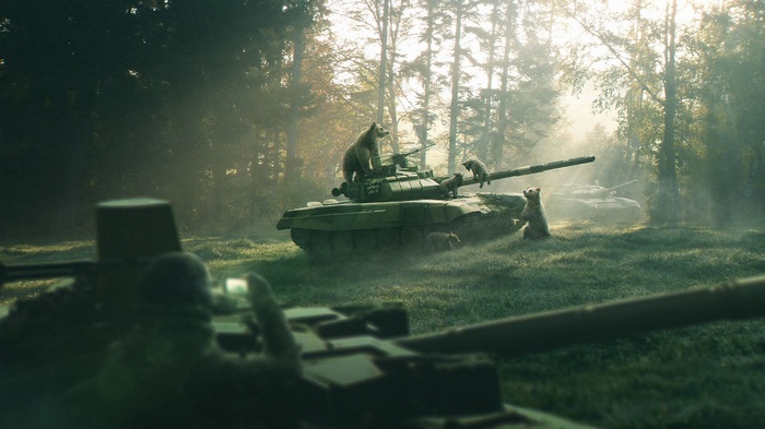 Bears on a tank in a forest
