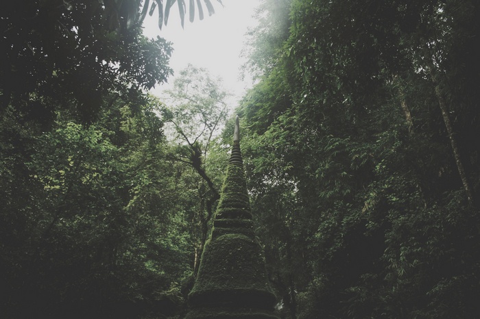 Moss-covered stupa in a dense forest