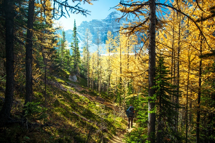 Hiker on a forest path with mountains in the background
