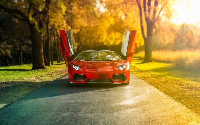 Red Lamborghini Aventador with doors open on a road