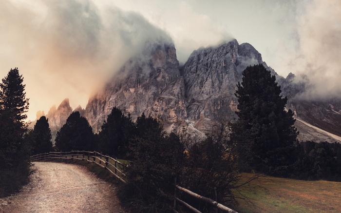 Mountain landscape with a dirt road and trees