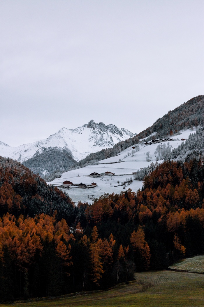 Snow-covered mountains and autumn trees in a valley