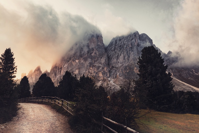Dirt road leading to misty mountains with pine trees