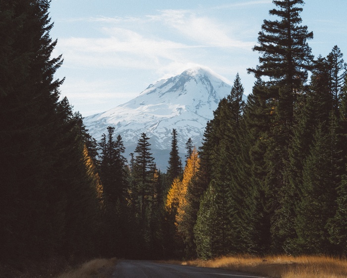 Snow-capped mountain behind a forest and road