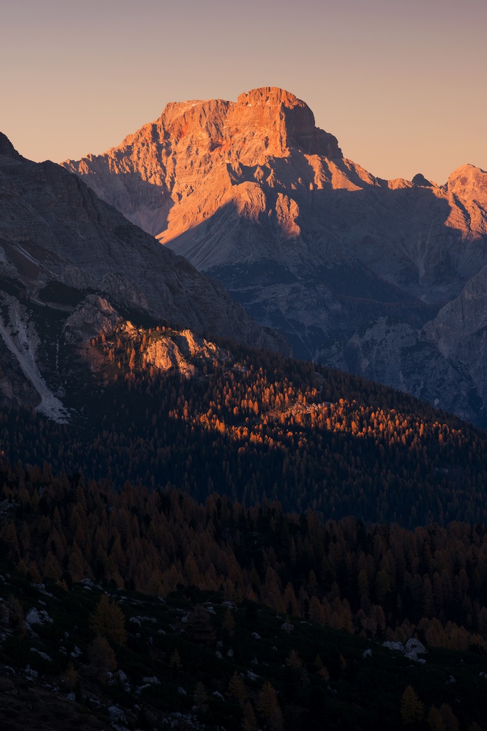 Mountains and forest at sunset