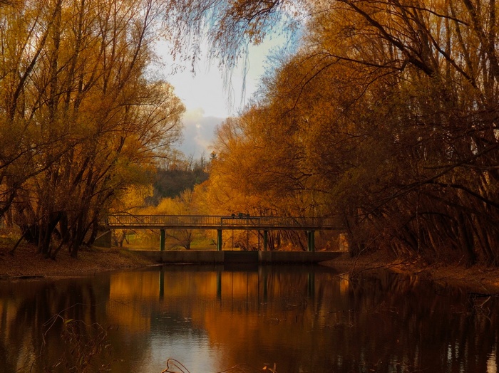 Bridge over water in autumn forest