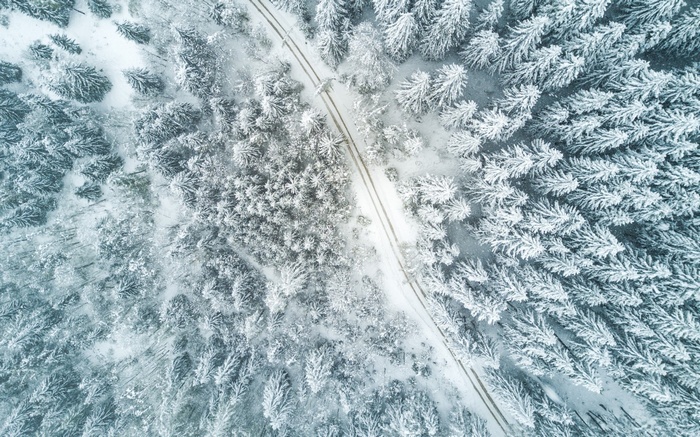 Aerial view of a snow-covered forest with a road