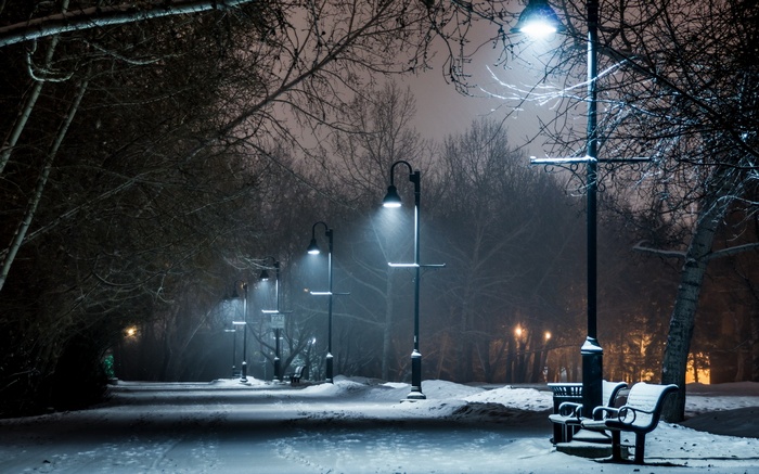 Winter park path at night with streetlights and snow