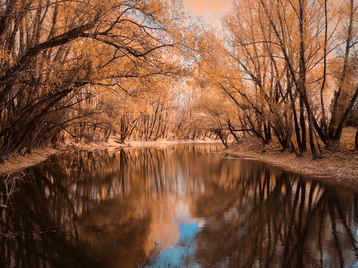 River flowing through an autumn forest