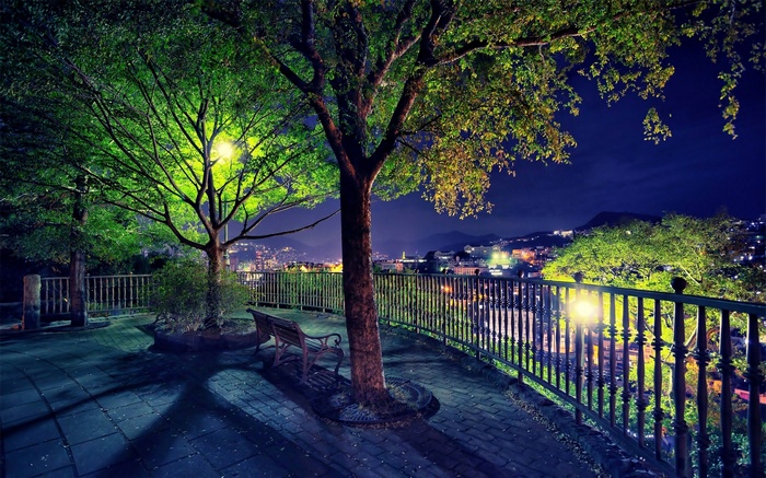 Trees and city view at night with a bench