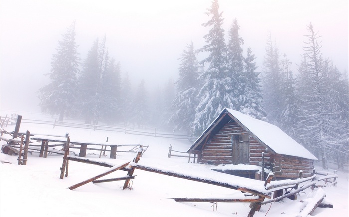 Wooden cabin in a snowy forest with mist