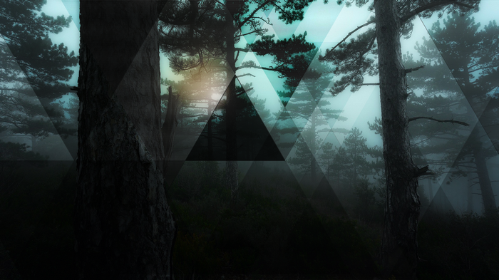 Geometric overlay on a foggy pine forest
