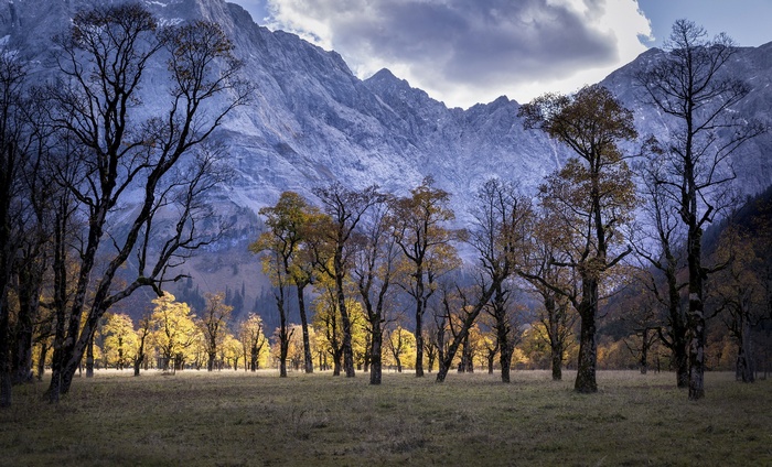 Autumn trees in front of a mountain range