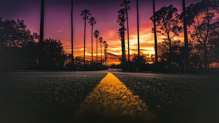 Road with palm trees at sunset in California
