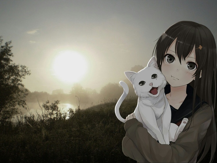 Anime girl holding a white cat with a misty sunrise background