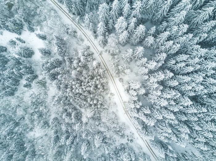 Aerial view of a snow-covered forest with a road