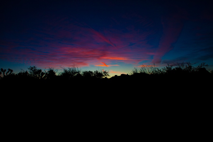 Sunset over Joshua Tree National Park landscape